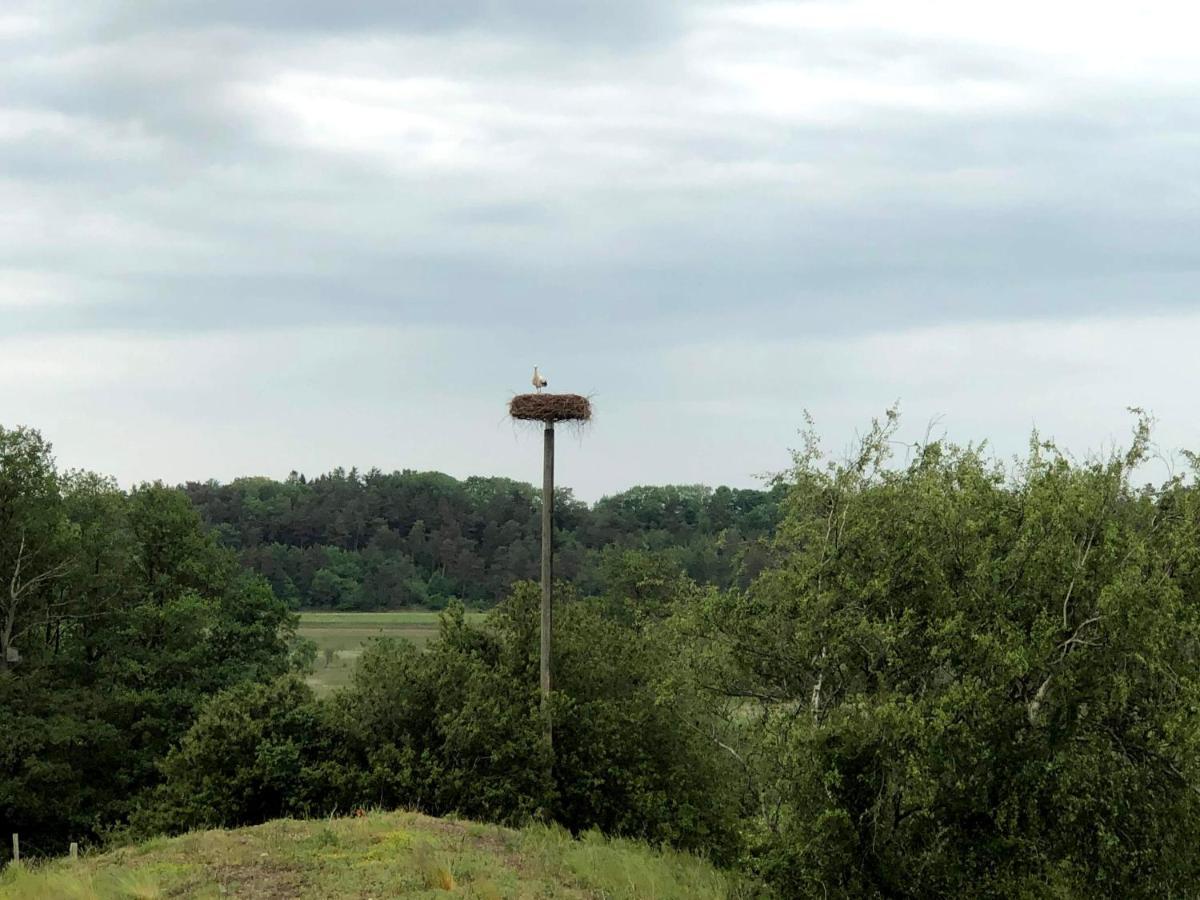 Norreadalens Perle Apartman Tjele Kültér fotó